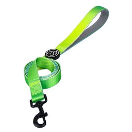 Everking Fancy Dog Leash - Green - Small