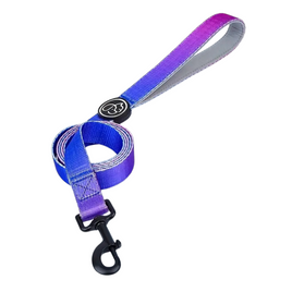 Everking Fancy Dog Leash - Purple- Large