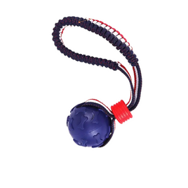 Extra Strong Bone Ball with Elastic Rope - Blue