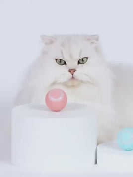 Pet Gravity Interactive Cat Ball