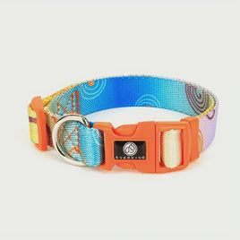 Everking Techno Dog Collars - Lake Blue - Small